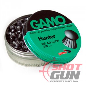  GAMO Hunter 4,5 . 250 
